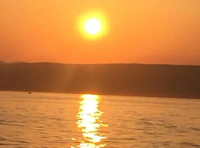 Mare